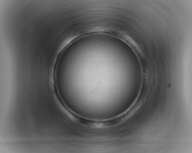 X0000115790794200911201331