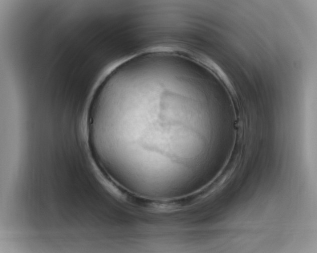 X0000115790795200911201331