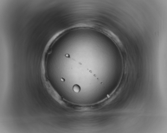 X0000115790796200911201331