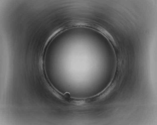 X0000115790798200911201331