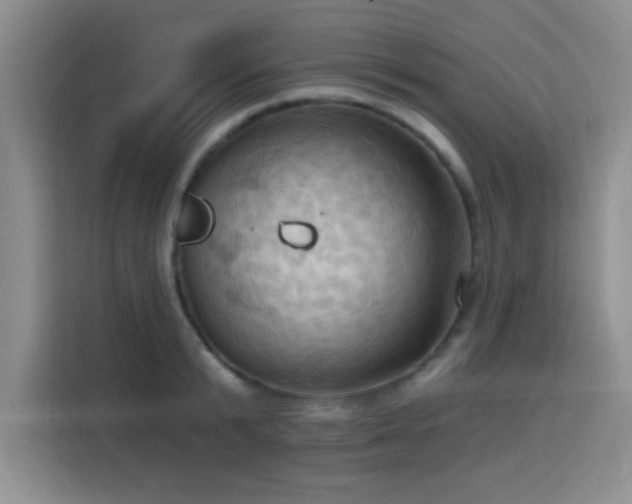 X0000115790799200911201331