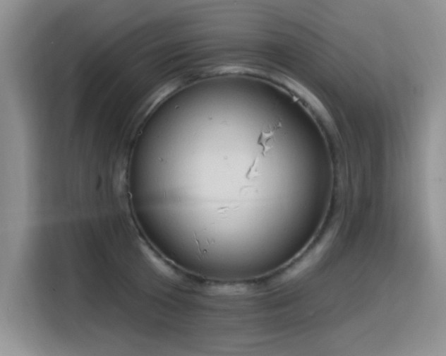 X0000115790801200911201331