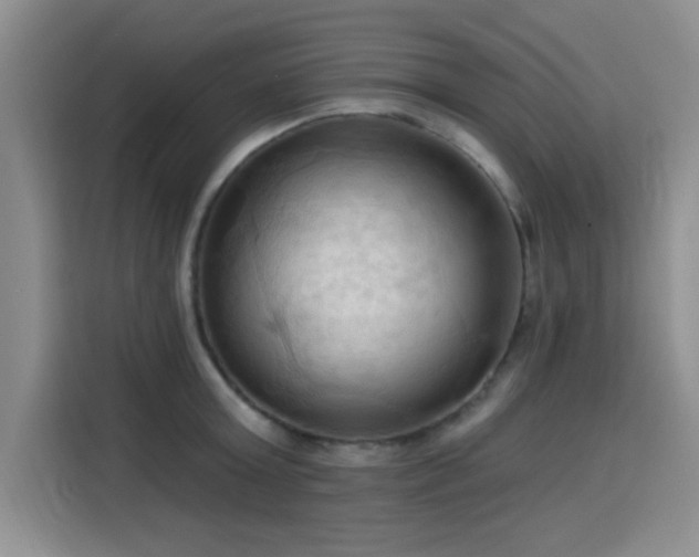 X0000115790803200911201331