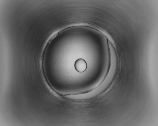 X0000115790805200911201331