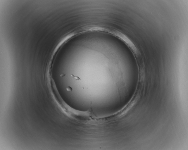 X0000115790806200911201331