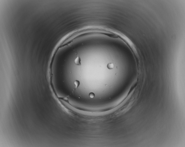 X0000115790807200911201331