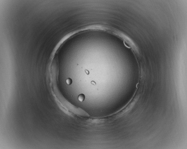 X0000115790808200911201331