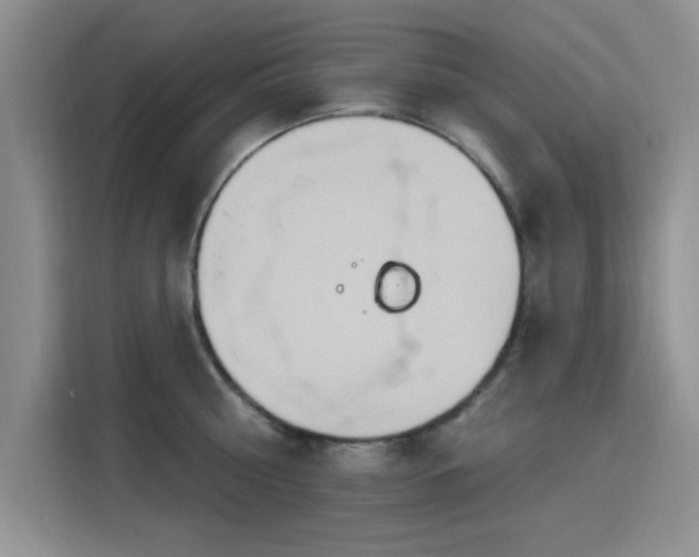 X0000115790810200911201331