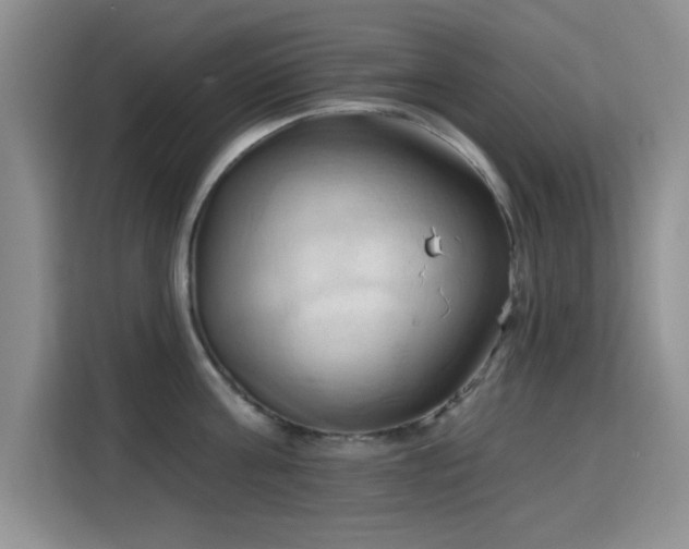 X0000115790811200911201331