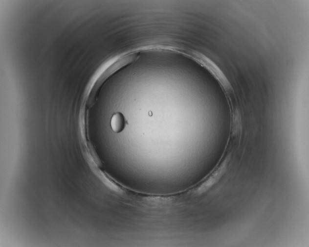 X0000115790812200911201331