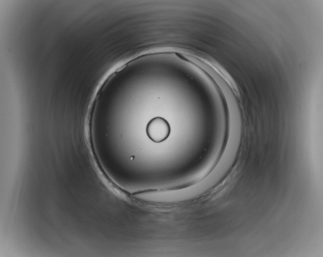 X0000115790813200911201331