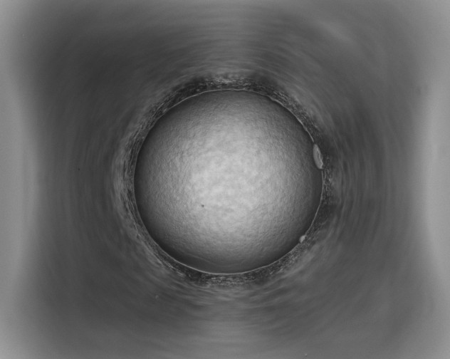 X0000115790817200911201330