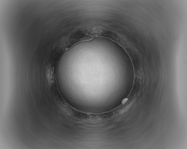 X0000115790818200911201330