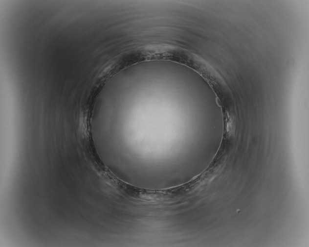 X0000115790819200911201330