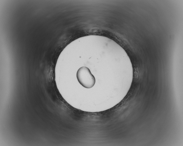 X0000115790820200911201330