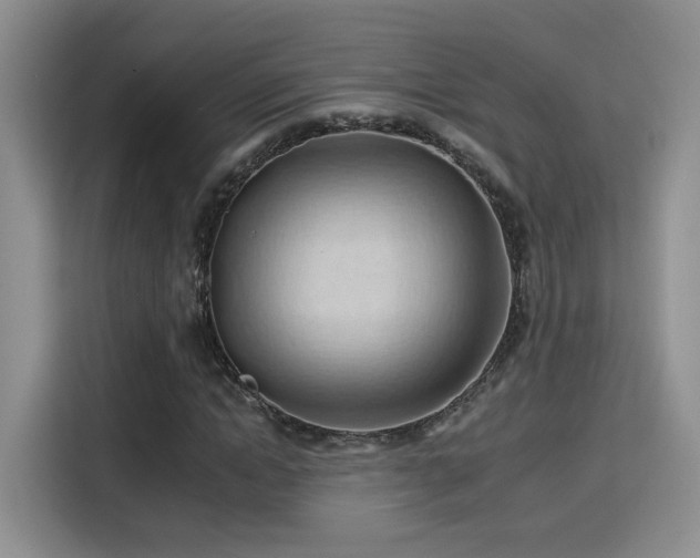 X0000115790822200911201330