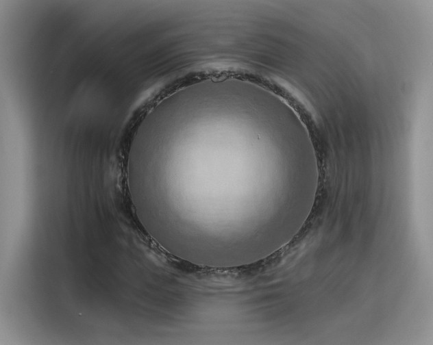 X0000115790823200911201330