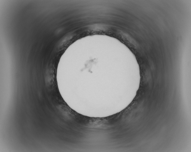 X0000115790824200911201330