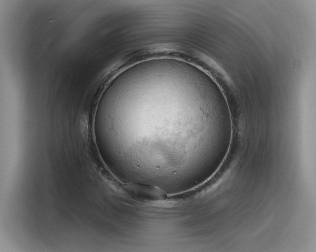 X0000115790825200911201330