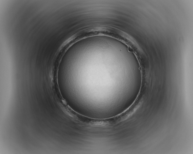 X0000115790826200911201330