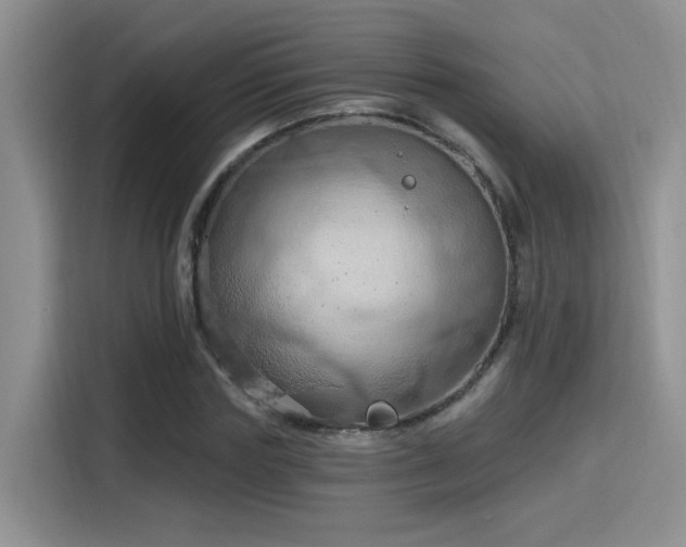 X0000115790827200911201330