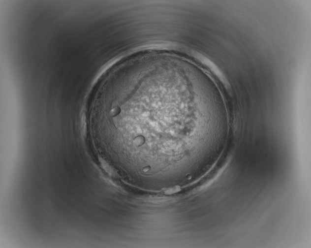 X0000115790829200911201330