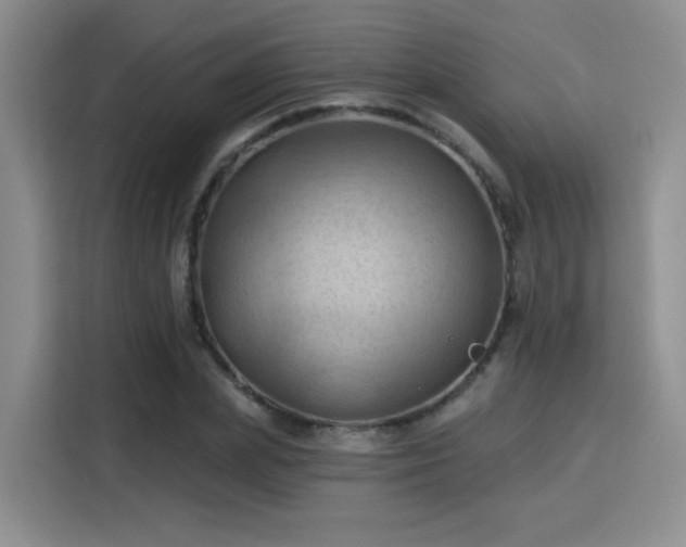 X0000115790831200911201330