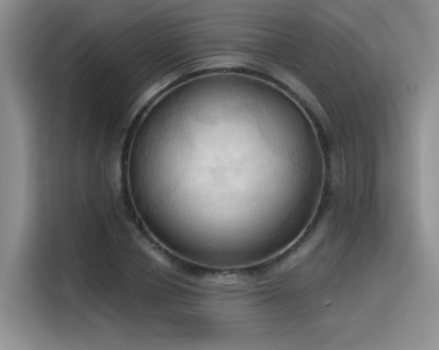 X0000115790834200911201330