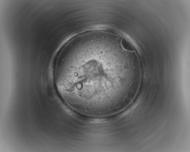 X0000115790835200911201330