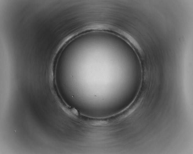 X0000115790837200911201330