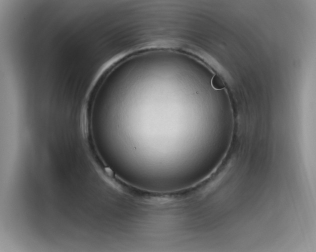 X0000115790838200911201330