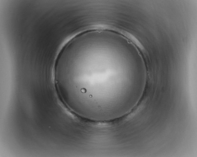 X0000115790839200911201330