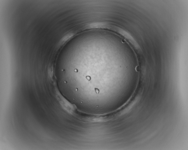 X0000115790841200911201330