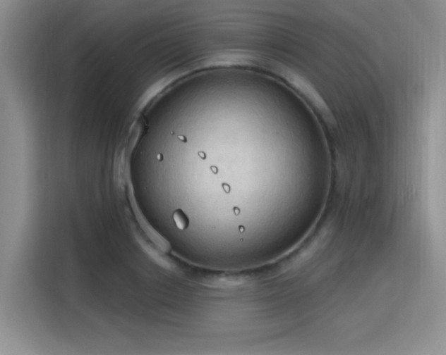 X0000115790842200911201330