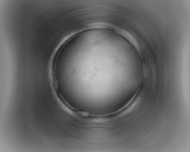 X0000115790843200911201330