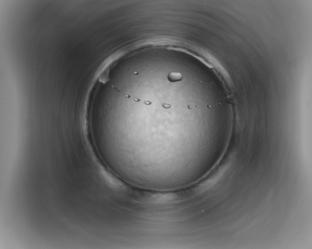 X0000115790845200911201330