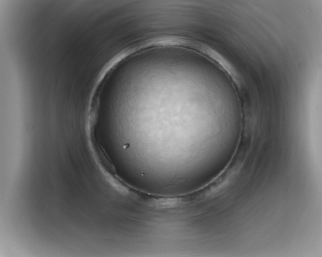 X0000115790853200911201330