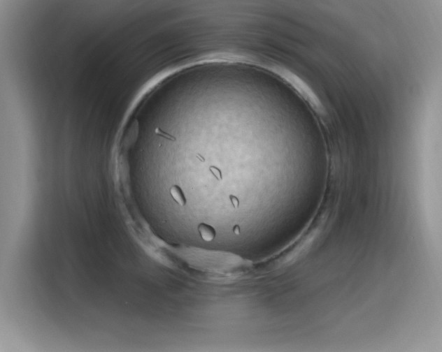 X0000115790854200911201330