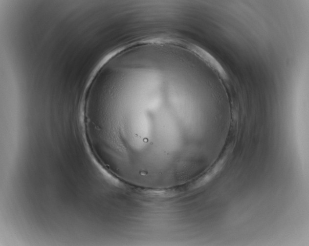 X0000115790855200911201330