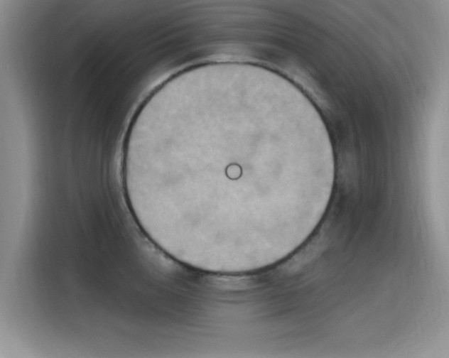 X0000115790856200911201330