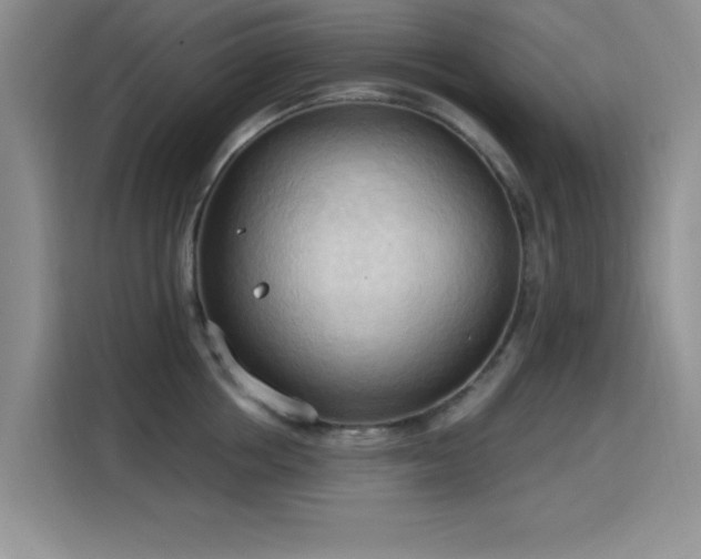 X0000115790858200911201330