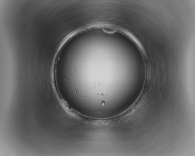 X0000115790861200911201331