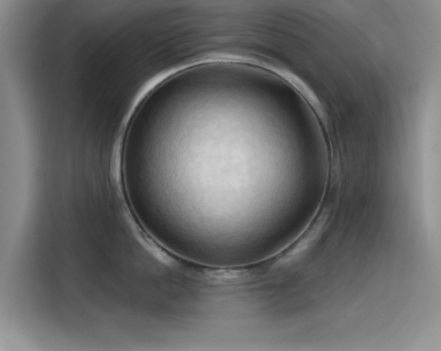 X0000115790862200911201331