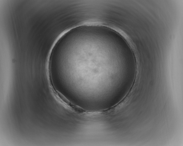 X0000115790864200911201331