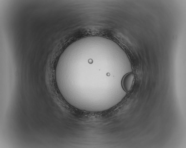 X0000115790865200911201330