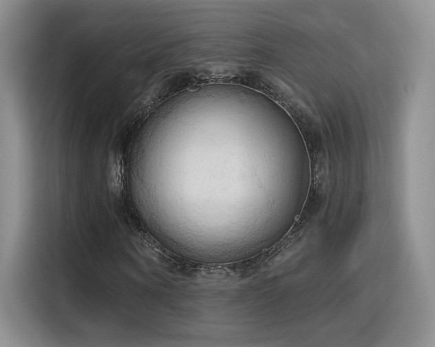 X0000115790866200911201330