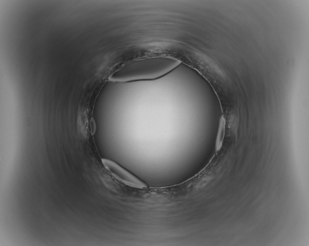 X0000115790868200911201330