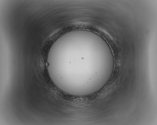 X0000115790869200911201330