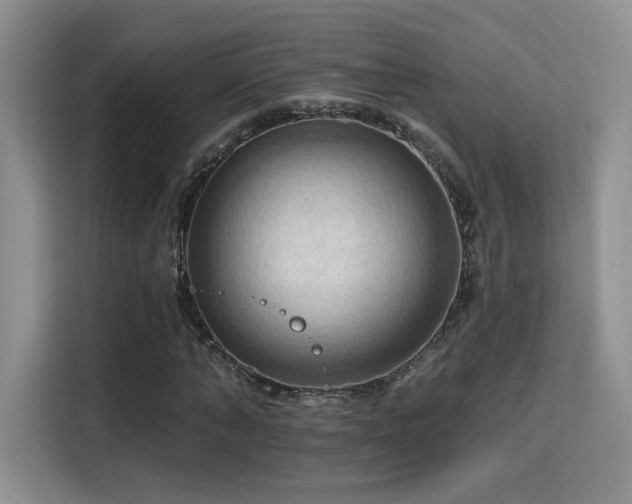 X0000115790870200911201330