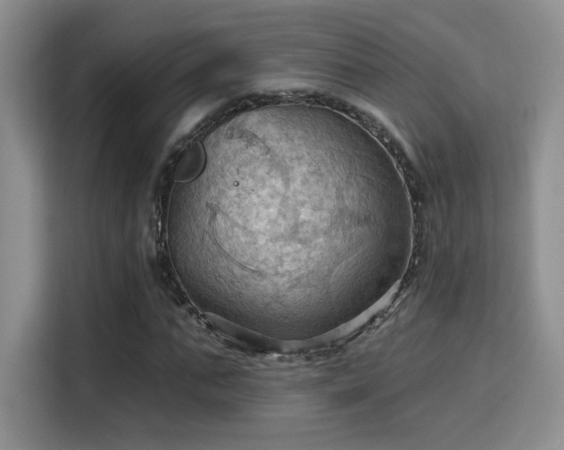 X0000115790871200911201330